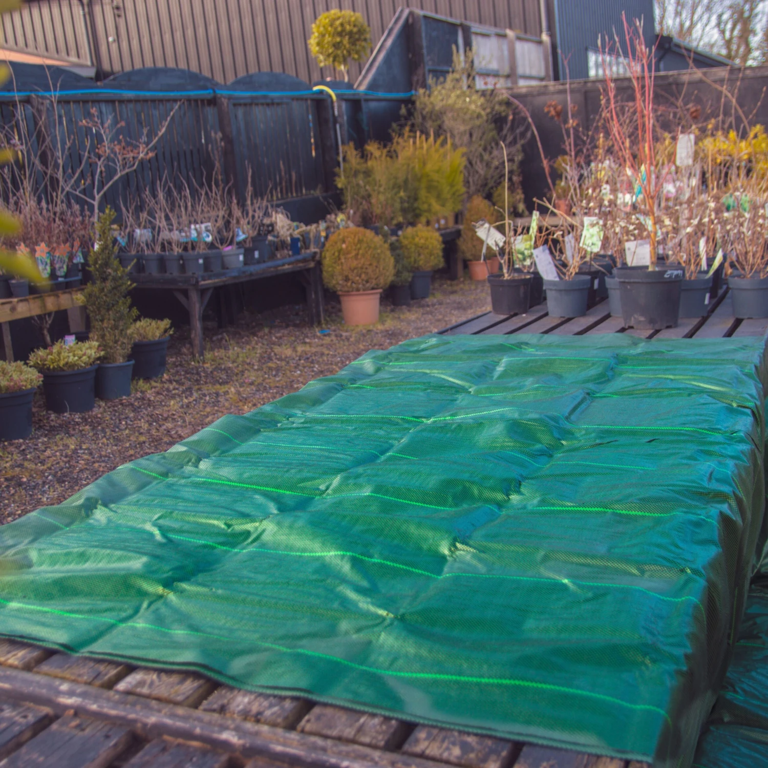 Heavy Duty Weed Membrane 5m X 10m - Green - Image 4