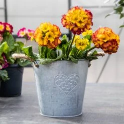 Heart Zinc Pot With Hessian Ears - Large (21cm)