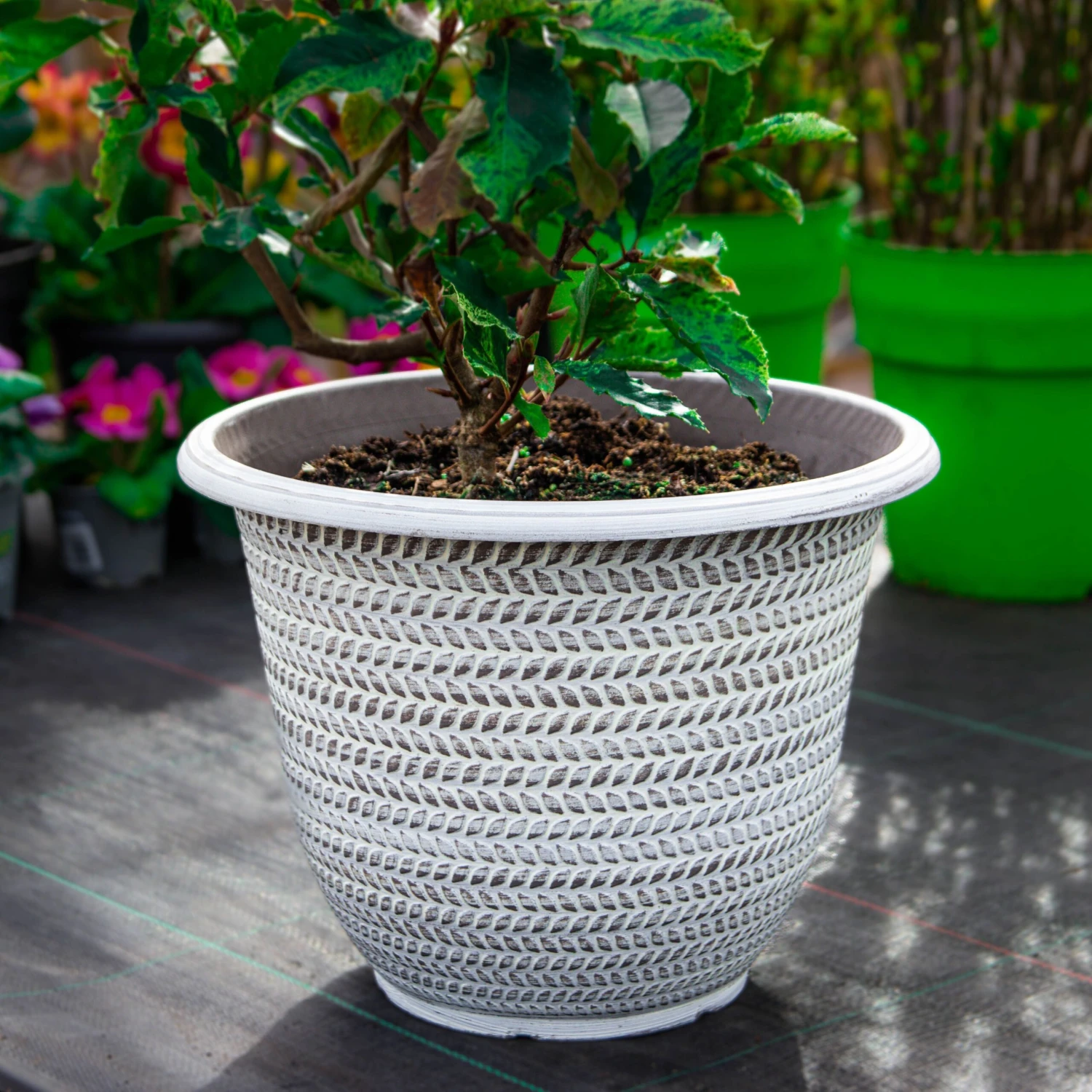 Pack Of Four - Large Washed Taupe Planter (30cm) - Image 3