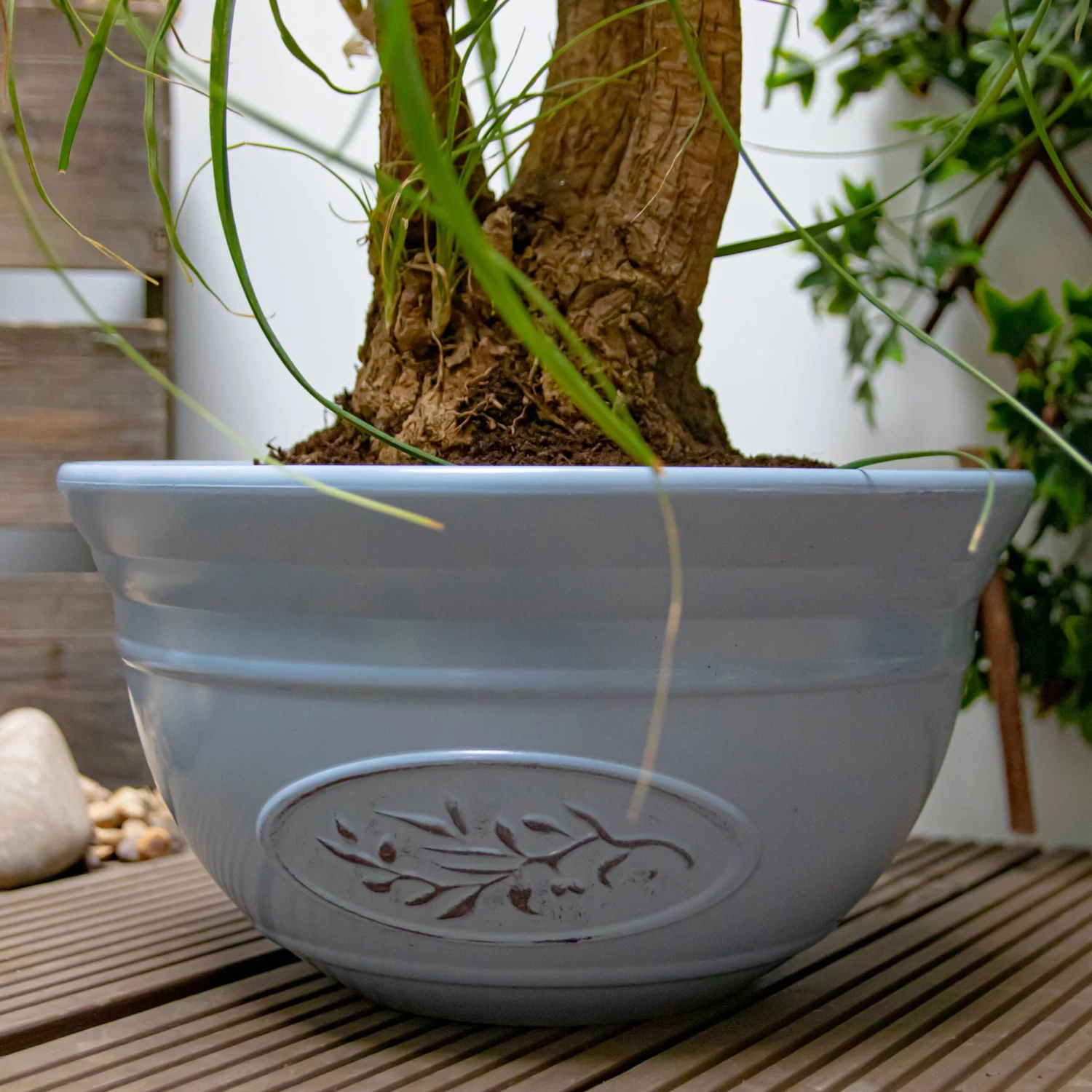 Blue Olive Bowl Planter (30cm) - Image 3