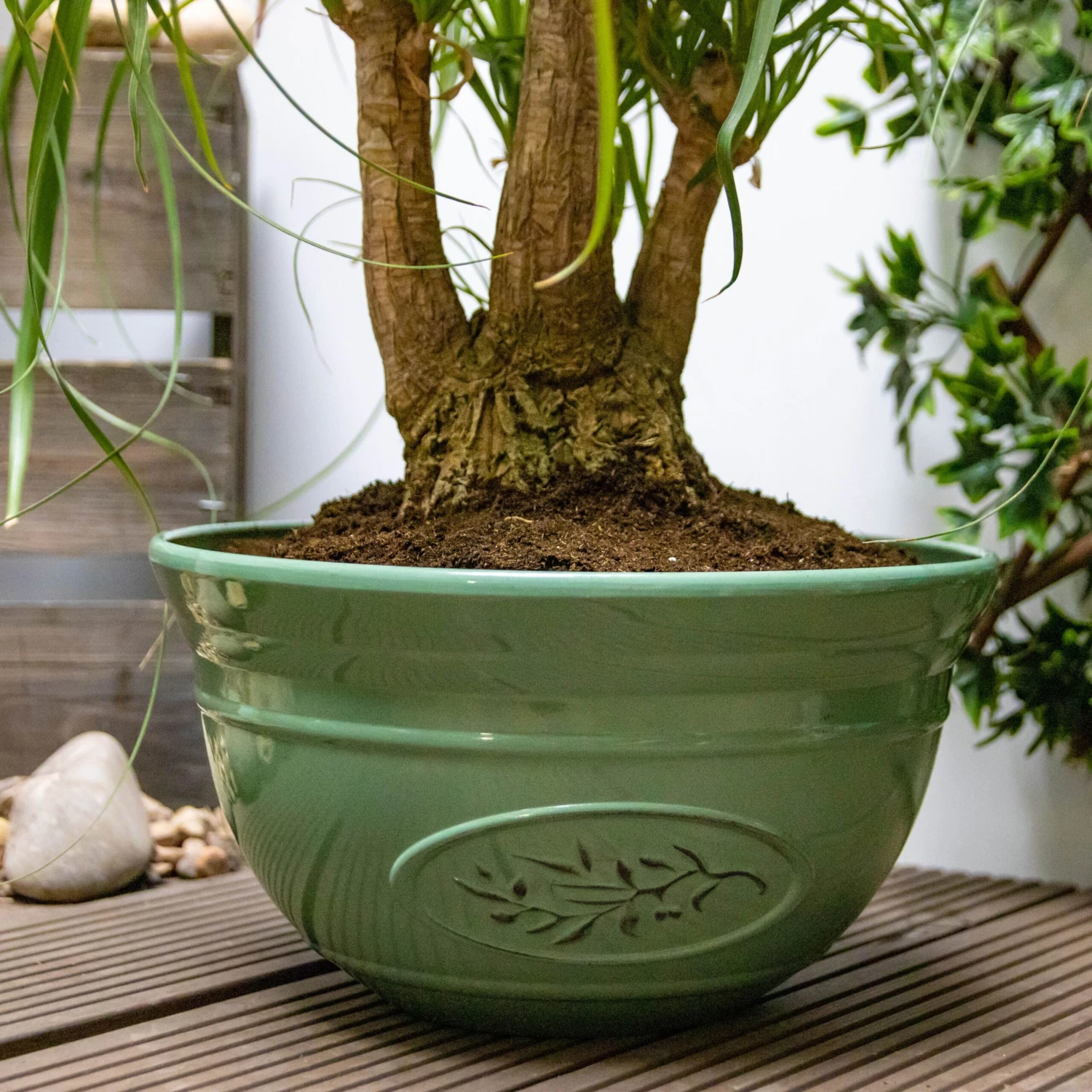 Green Olive Bowl Planter (30cm) - Image 4