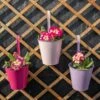 Hanging Pots - Pack Of Three - Shades Of Pink & Purple