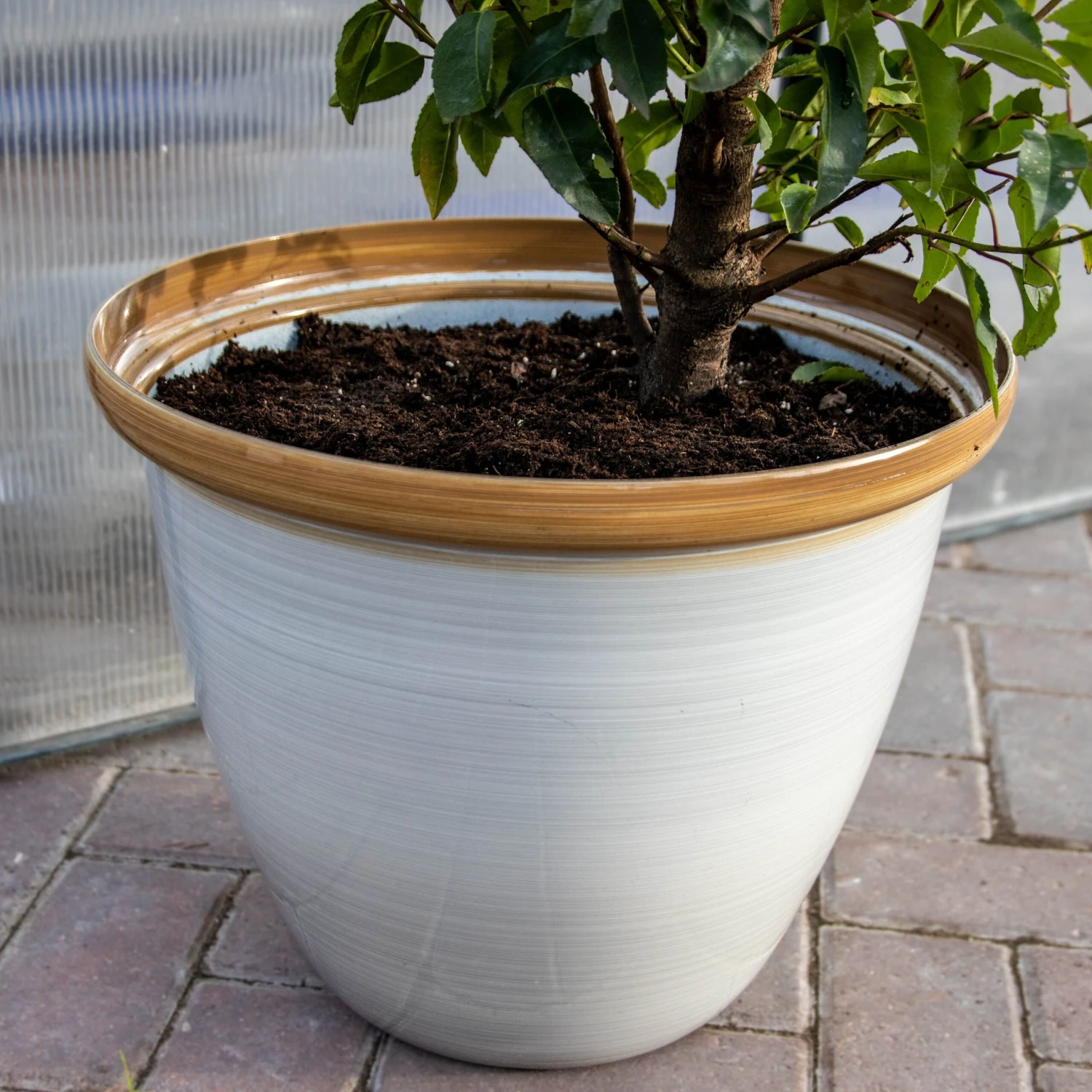 Honey Pot Planter - Extra Large (40cm) - Image 4