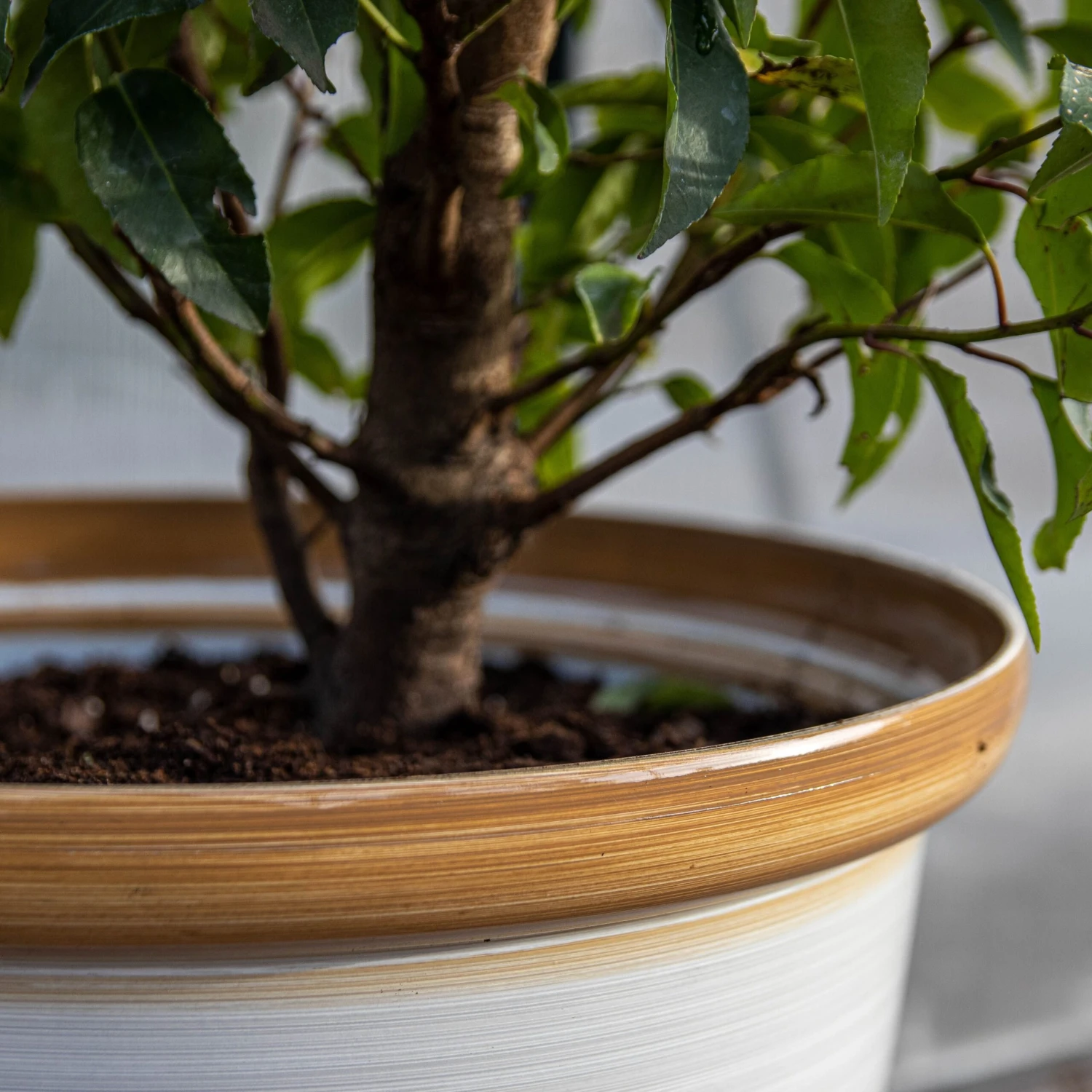 Honey Pot Planter - Extra Large (40cm) - Image 8