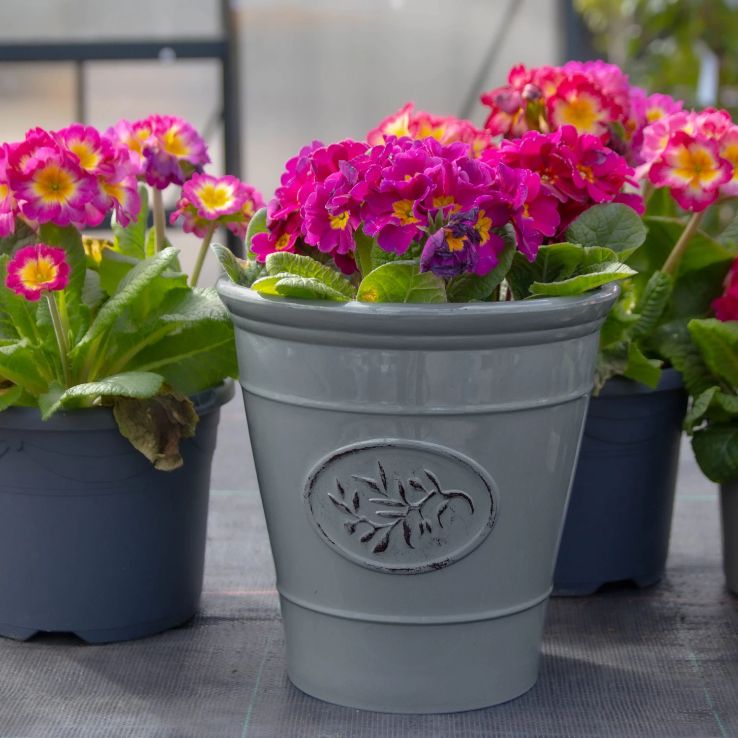 Grey Olive Planter - Medium (23cm) - Image 5