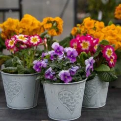 Heart Zinc Pot - Pack Of Three - Medium (14cm)