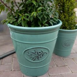 Green Olive Planter - Extra Large (40cm)