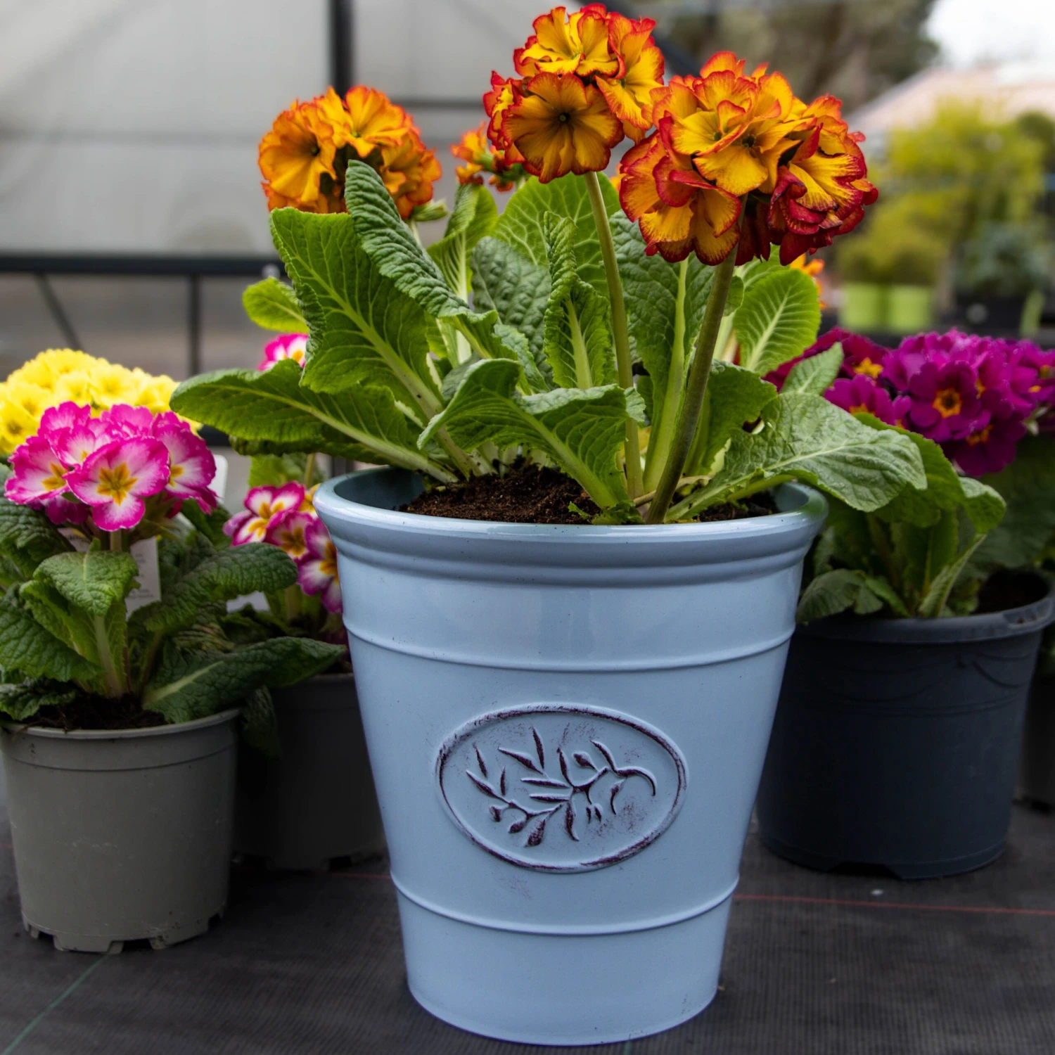 Blue Olive Planter - Medium (23cm) - Image 5