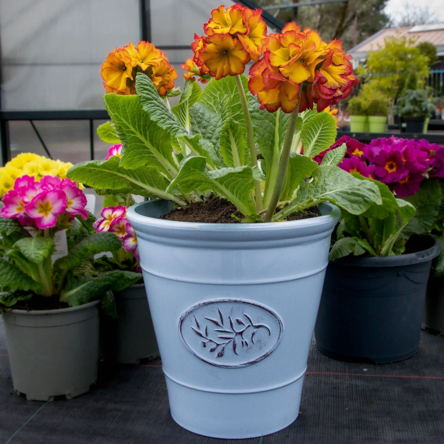 Blue Olive Planter - Medium (23cm) - Image 6