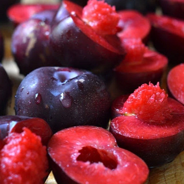 Premium Speciality Chefs Selection For The Fruit Connoisseur - Fruit Tree Collection - Pack Of SIX - Image 3