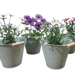Pack Of Four - Whitewashed Tin Pail With Flower (17cm)