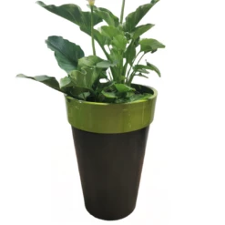 Glossy Apple Euro Planter - Extra Large (40cm)